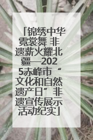 锦绣中华霓裳舞 非遗薪火耀北疆—2025赤峰市“文化和自然遗产日”非遗宣传展示活动纪实