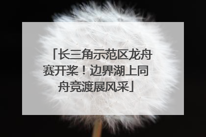 长三角示范区龙舟赛开桨！边界湖上同舟竞渡展风采