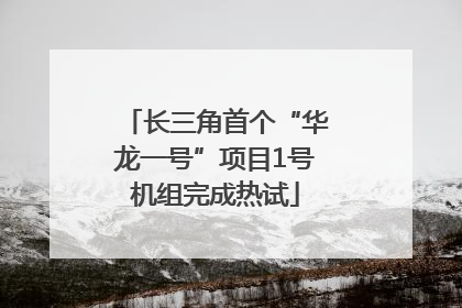 长三角首个“华龙一号”项目1号机组完成热试