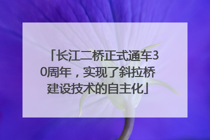 长江二桥正式通车30周年，实现了斜拉桥建设技术的自主化