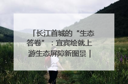 长江首城的“生态答卷”：宜宾绘就上游生态屏障新图景｜中华环保世纪行