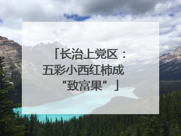 长治上党区：五彩小西红柿成“致富果”