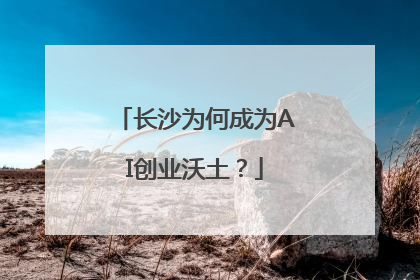 长沙为何成为AI创业沃土？