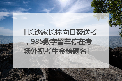 长沙家长捧向日葵送考，985数字警车停在考场外祝考生金榜题名