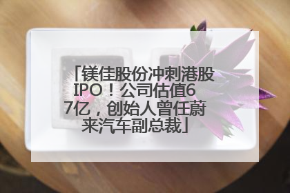 镁佳股份冲刺港股IPO！公司估值67亿，创始人曾任蔚来汽车副总裁