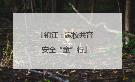 镇江：家校共育 安全“童”行
