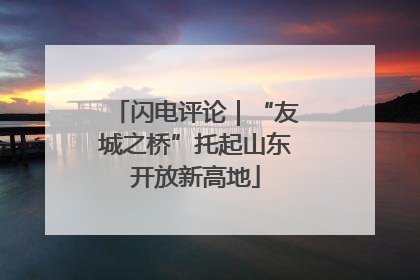 闪电评论｜“友城之桥”托起山东开放新高地