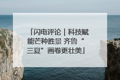 闪电评论|科技赋能芒种胜景 齐鲁“三夏”画卷更壮美