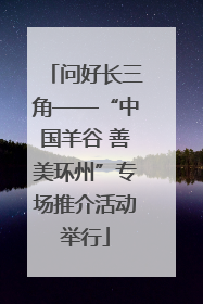 问好长三角——“中国羊谷 善美环州”专场推介活动举行