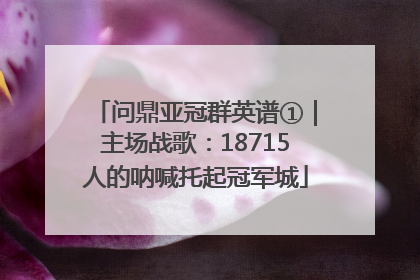 问鼎亚冠群英谱①｜主场战歌：18715人的呐喊托起冠军城