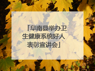 阜南县举办卫生健康系统好人表彰宣讲会