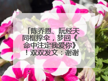 陈乔恩、阮经天同框撑伞，梦回《命中注定我爱你》！双双发文：谢谢我们都没变