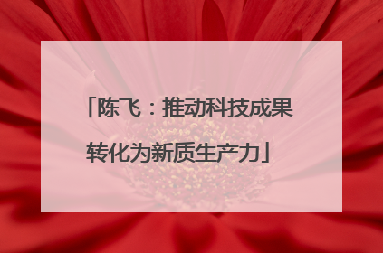 陈飞：推动科技成果转化为新质生产力