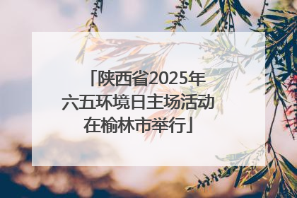 陕西省2025年六五环境日主场活动在榆林市举行