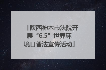 陕西神木市法院开展“6.5”世界环境日普法宣传活动