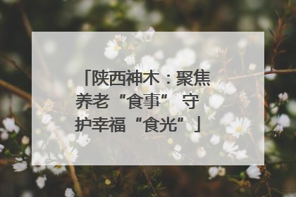 陕西神木：聚焦养老“食事” 守护幸福“食光”