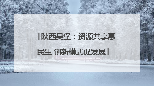 陕西吴堡：资源共享惠民生 创新模式促发展