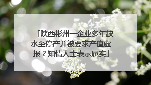 陕西彬州一企业多年缺水至停产并被要求产值虚报？知情人士表示属实