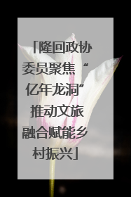 隆回政协委员聚焦“亿年龙洞” 推动文旅融合赋能乡村振兴