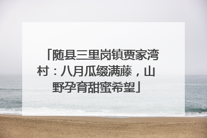 随县三里岗镇贾家湾村：八月瓜缀满藤，山野孕育甜蜜希望