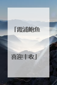 霞浦鲍鱼喜迎丰收