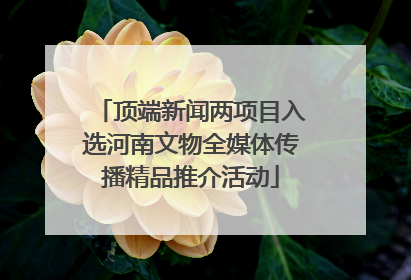 顶端新闻两项目入选河南文物全媒体传播精品推介活动