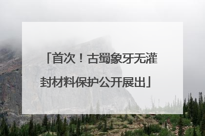 首次！古蜀象牙无灌封材料保护公开展出
