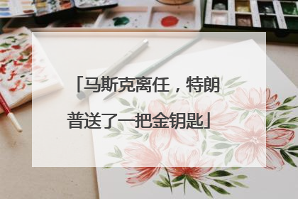 马斯克离任，特朗普送了一把金钥匙