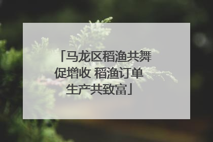 马龙区稻渔共舞促增收 稻渔订单生产共致富