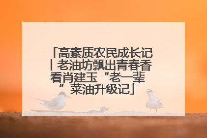 高素质农民成长记丨老油坊飘出青春香 看肖建玉“老一辈”菜油升级记