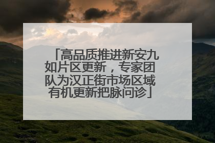 高品质推进新安九如片区更新，专家团队为汉正街市场区域有机更新把脉问诊