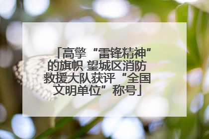 高擎“雷锋精神”的旗帜 望城区消防救援大队获评“全国文明单位”称号