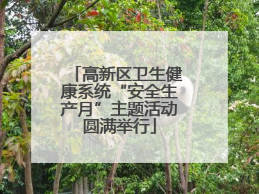高新区卫生健康系统“安全生产月”主题活动圆满举行