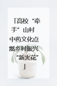 高校“牵手”山村 中药文化点燃乡村振兴“新火花”