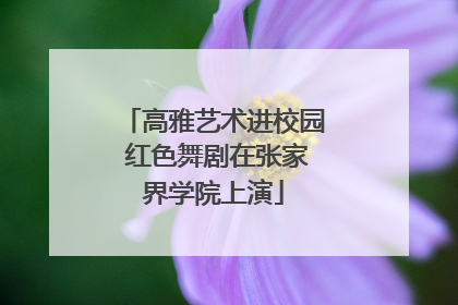 高雅艺术进校园 红色舞剧在张家界学院上演