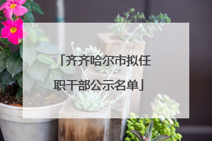 齐齐哈尔市拟任职干部公示名单