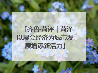 齐鲁·菏评｜菏泽以展会经济为城市发展增添新活力