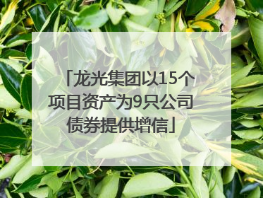 龙光集团以15个项目资产为9只公司债券提供增信
