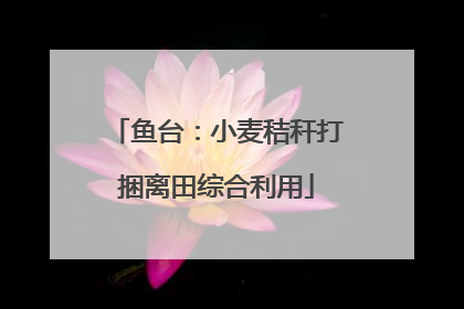 鱼台：小麦秸秆打捆离田综合利用