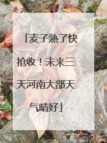 麦子熟了快抢收！未来三天河南大部天气晴好