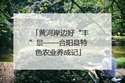 黄河岸边好“丰”景——合阳县特色农业养成记