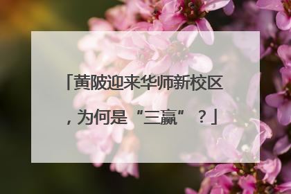 黄陂迎来华师新校区，为何是“三赢”？