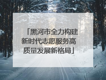 黑河市全力构建新时代志愿服务高质量发展新格局