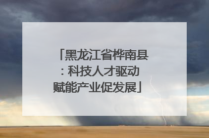 黑龙江省桦南县:科技人才驱动 赋能产业促发展
