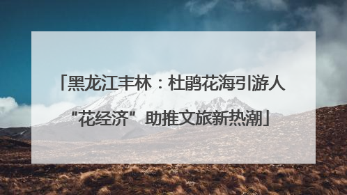 黑龙江丰林：杜鹃花海引游人 “花经济”助推文旅新热潮