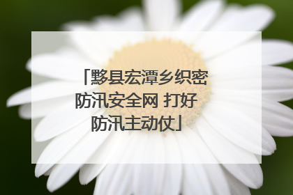 黟县宏潭乡织密防汛安全网 打好防汛主动仗