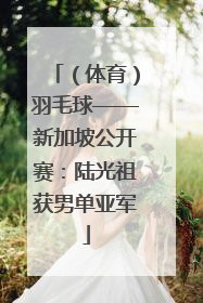 （体育）羽毛球——新加坡公开赛：陆光祖获男单亚军