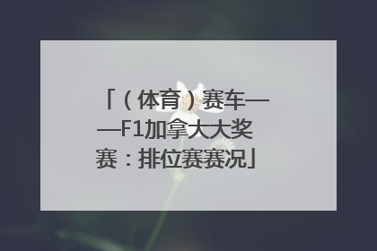 （体育）赛车——F1加拿大大奖赛：排位赛赛况