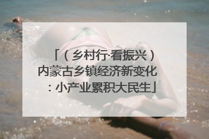 （乡村行·看振兴）内蒙古乡镇经济新变化：小产业累积大民生