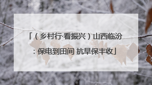 （乡村行·看振兴）山西临汾：保电到田间 抗旱保丰收